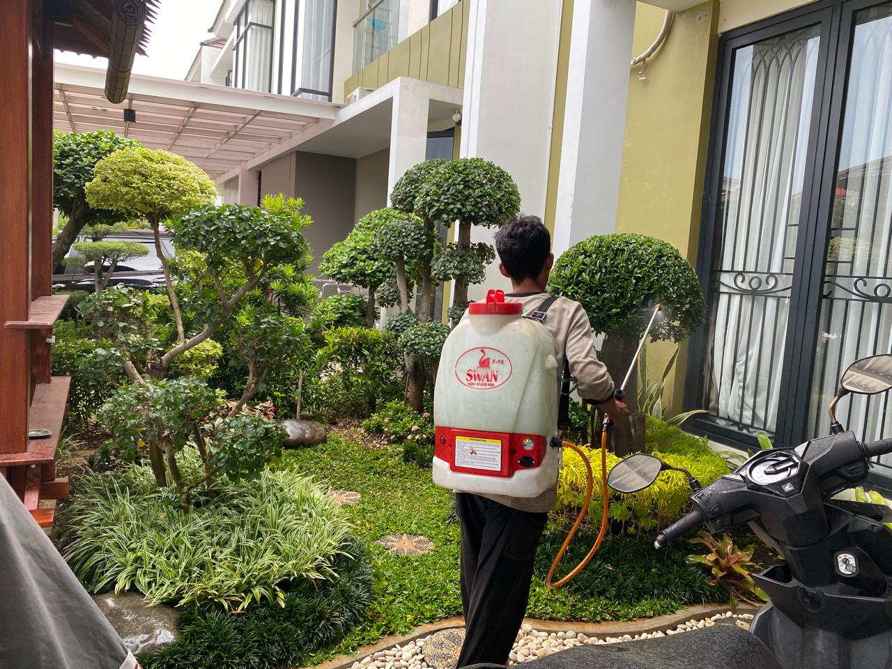 Spesialis Pembuatan Taman dan Tanaman Hias